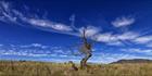 Reach - Koscuiszko NP - NSW T (PBH4 00 12489)